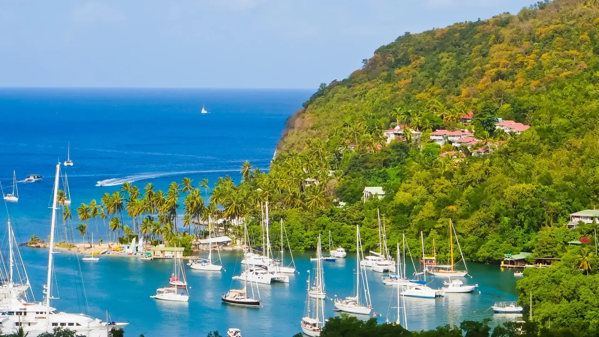 Saint Lucia Citizenship by Investment Applications Fall 48% as Decisions More Than Double