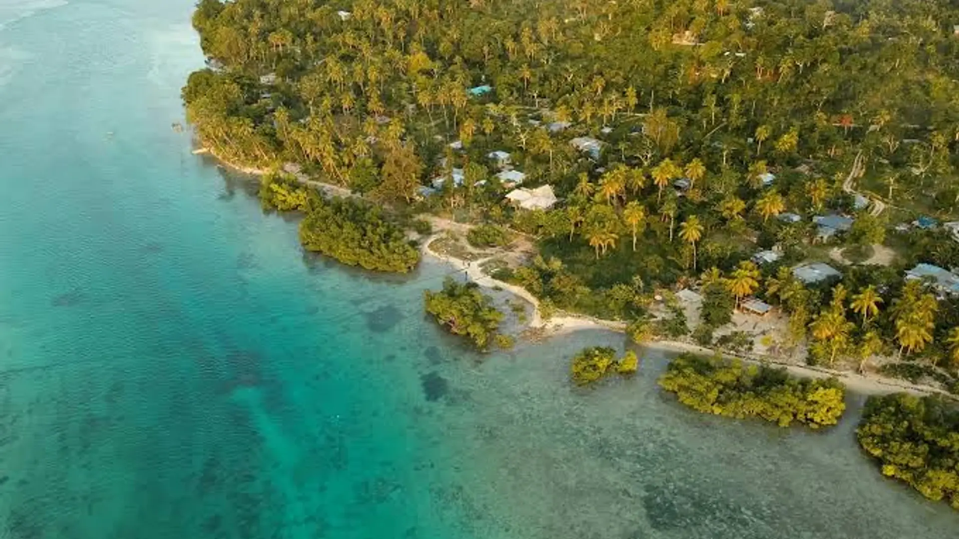 Vanuatu Court Rules Citizenship by Investment Holders Cannot Vote