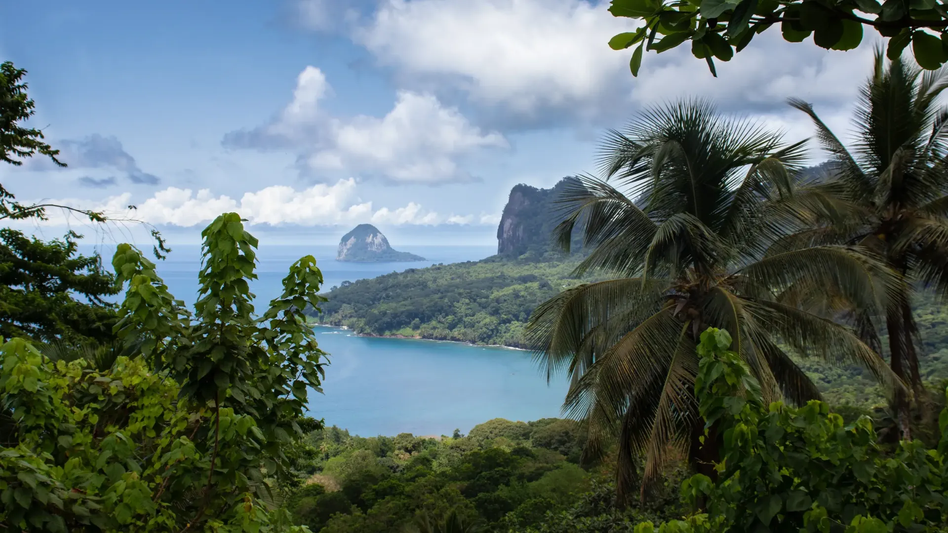 Blog Post Cyprus Processing